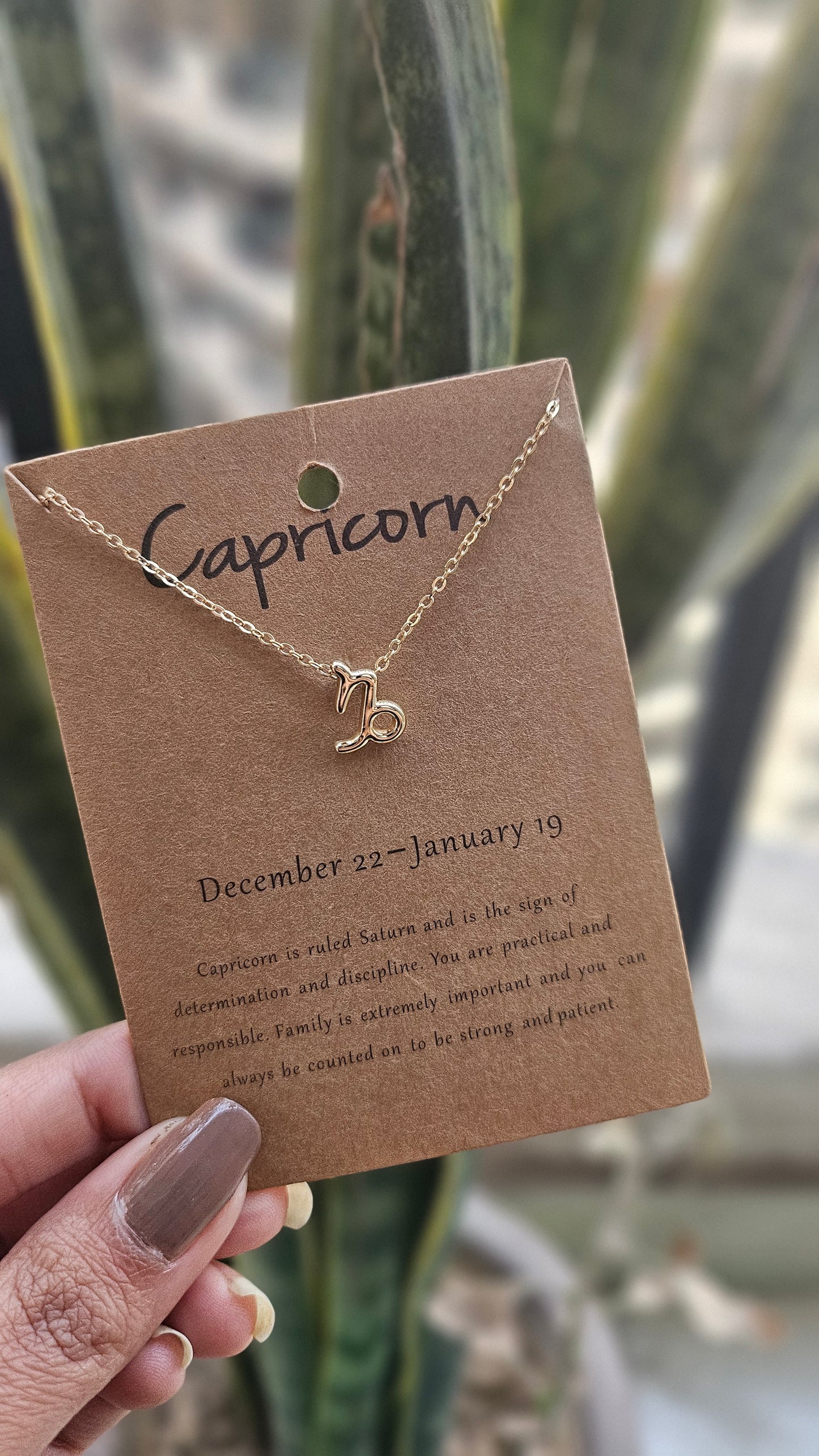 Capricorn Constellation Necklace