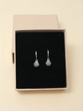 Hadlee earrings
