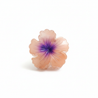 Peach-Purple Gradient Clip
