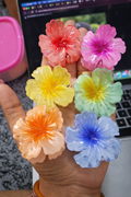 Hibiscus Flower Hair Clutcher Small | Resin Floral Claw Clip (Randon colour)